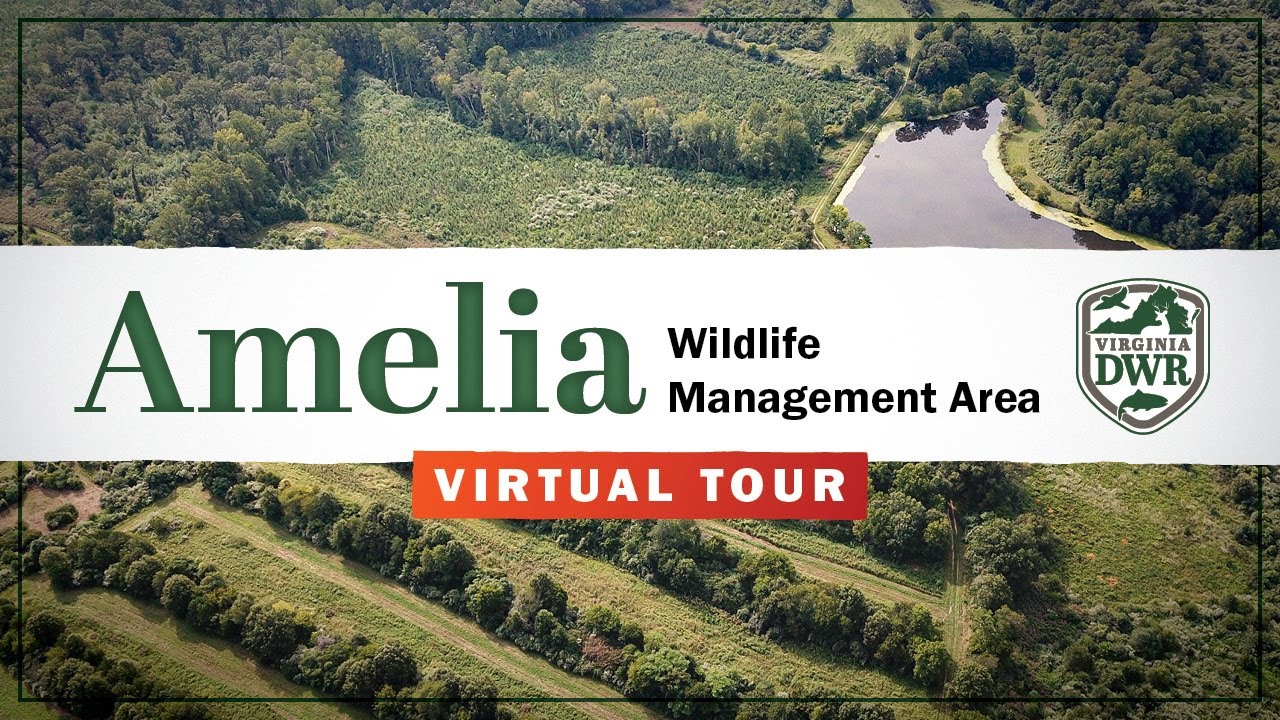 Explore Amelia Wildlife Management Area (WMA)