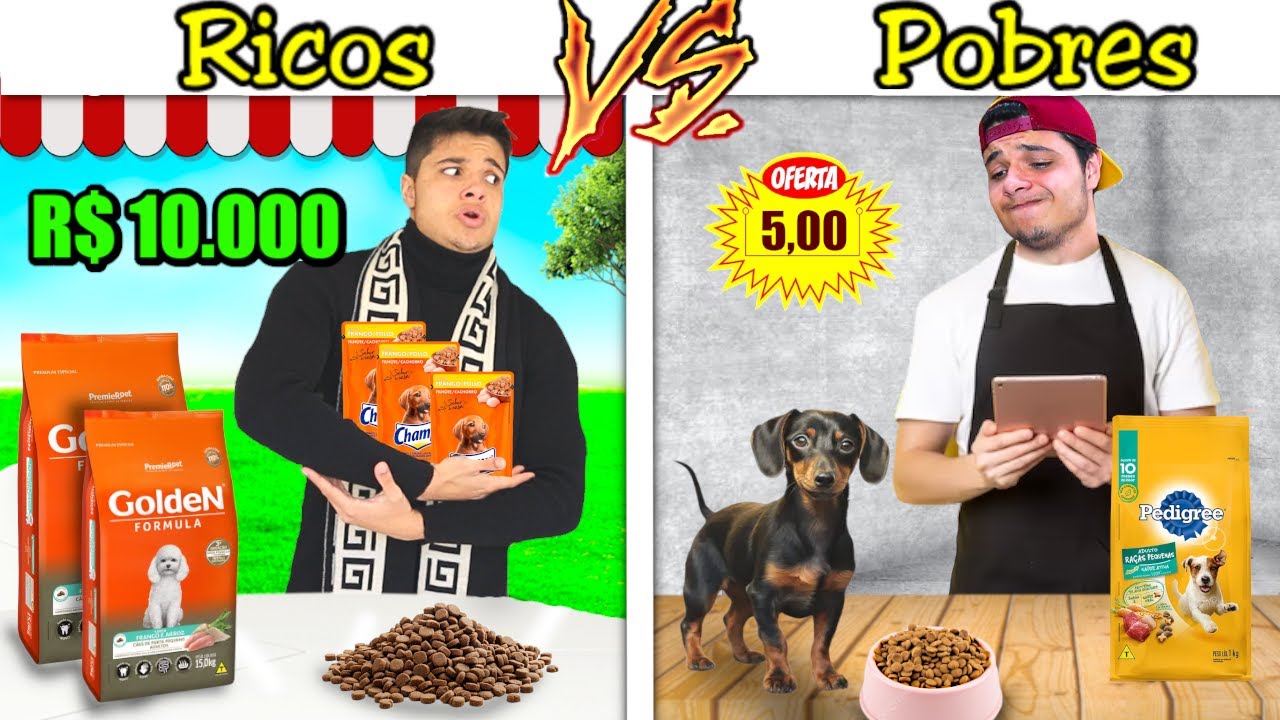 RICOS VS POBRES NA LOJINHA PET #164