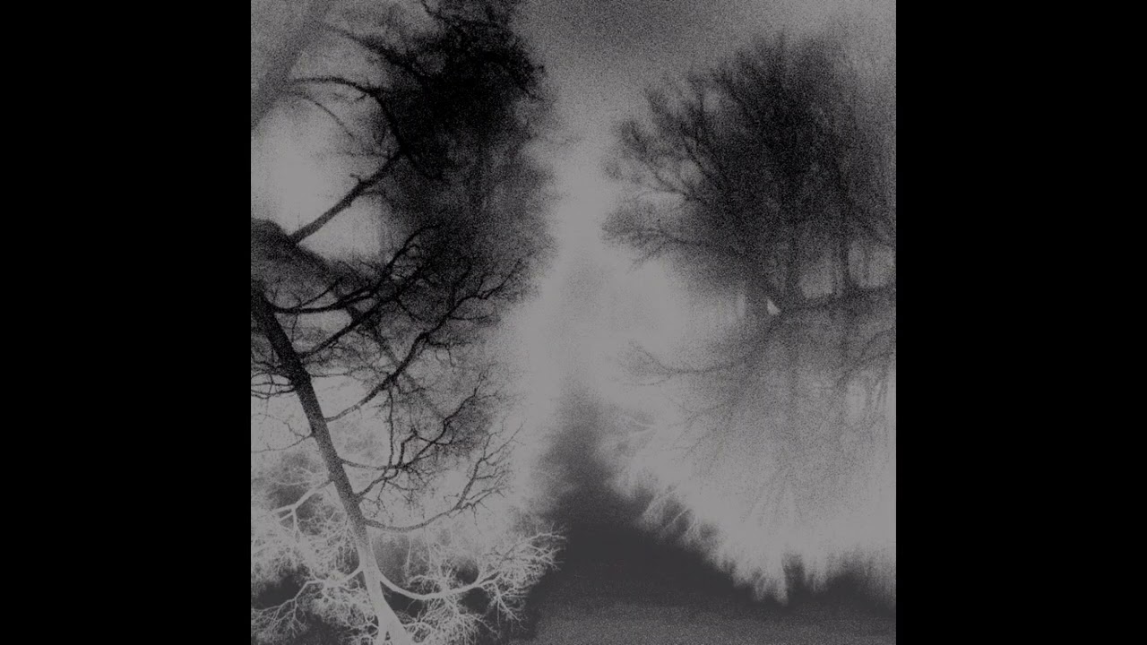 Forget Me - (2026 REMASTER)