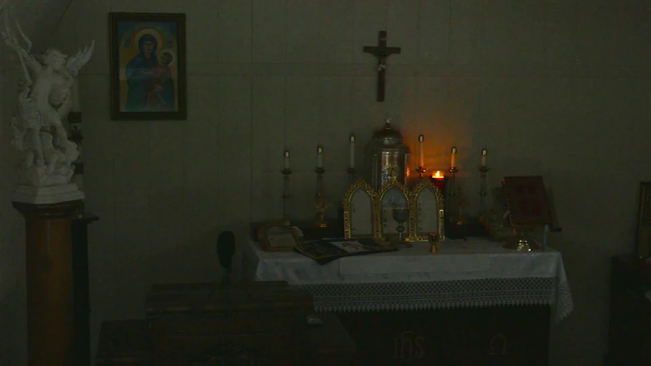 Fr. Altman Celebrating Holy Mass:  2-18-26 Ash Wednesday