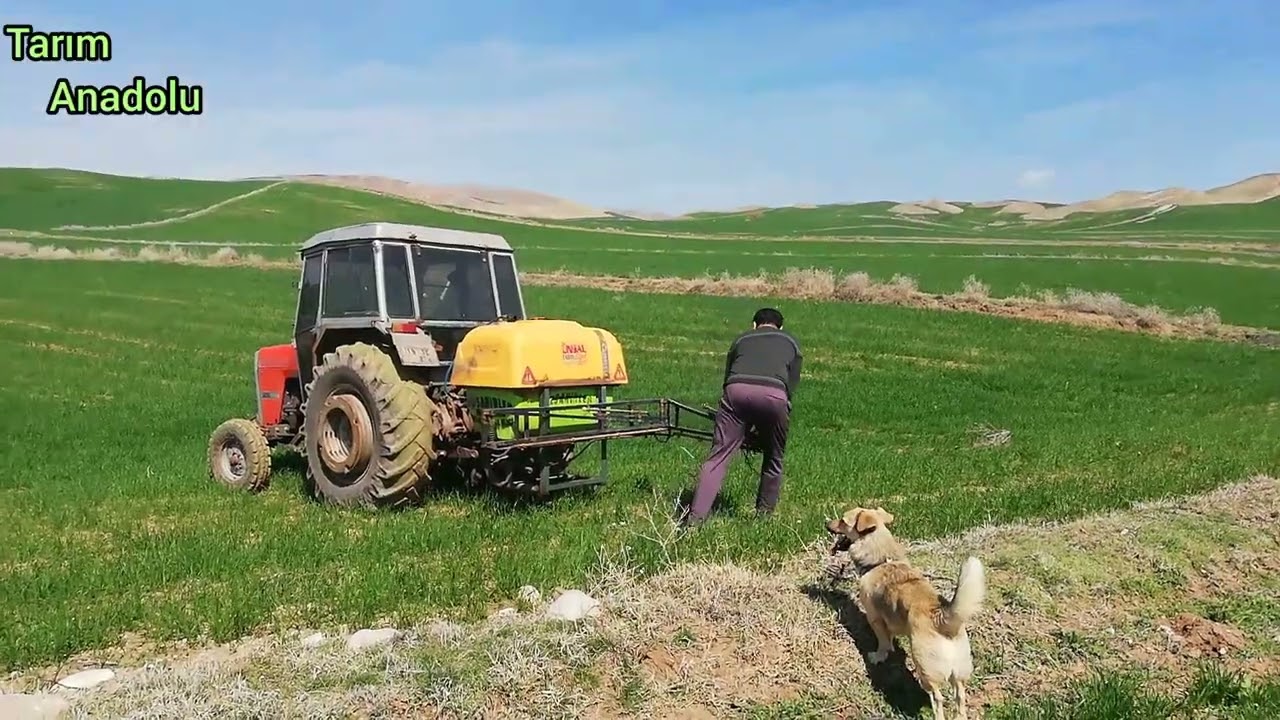 Buğday Tarlasına Hümik Asit Veriyoruz