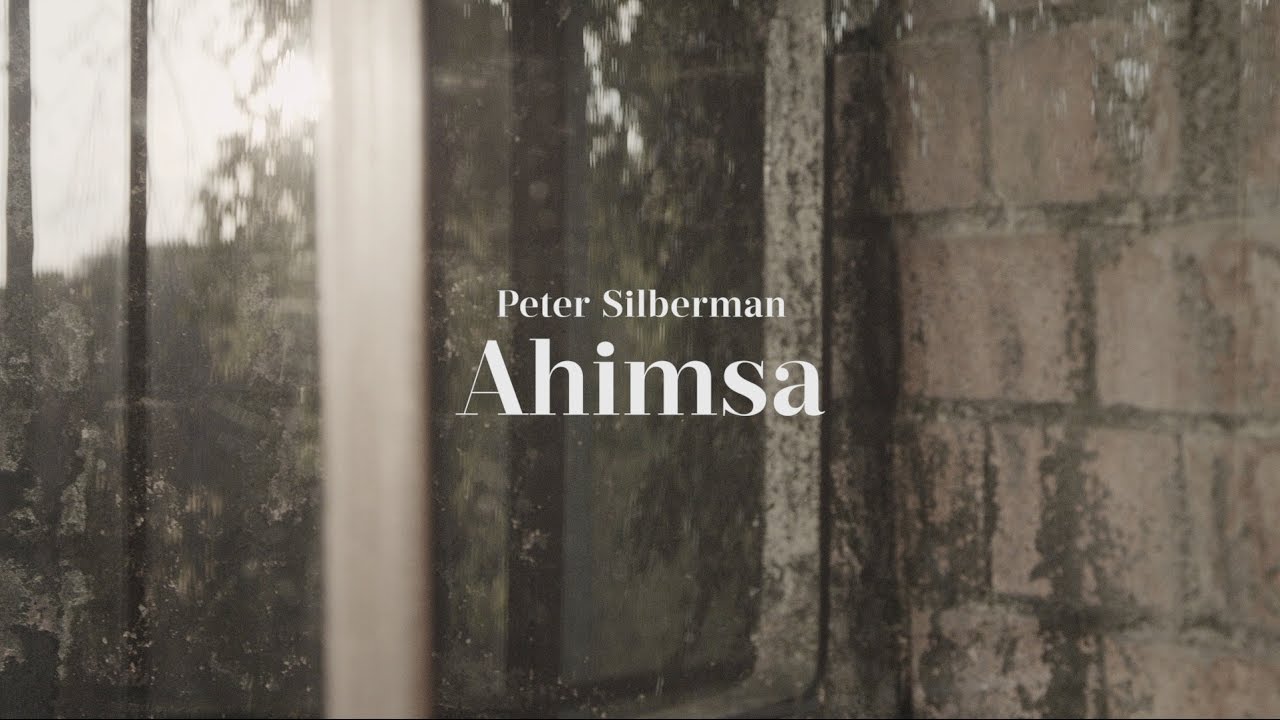 Peter Silberman - Impermanence at The Glass House | Part Five: 