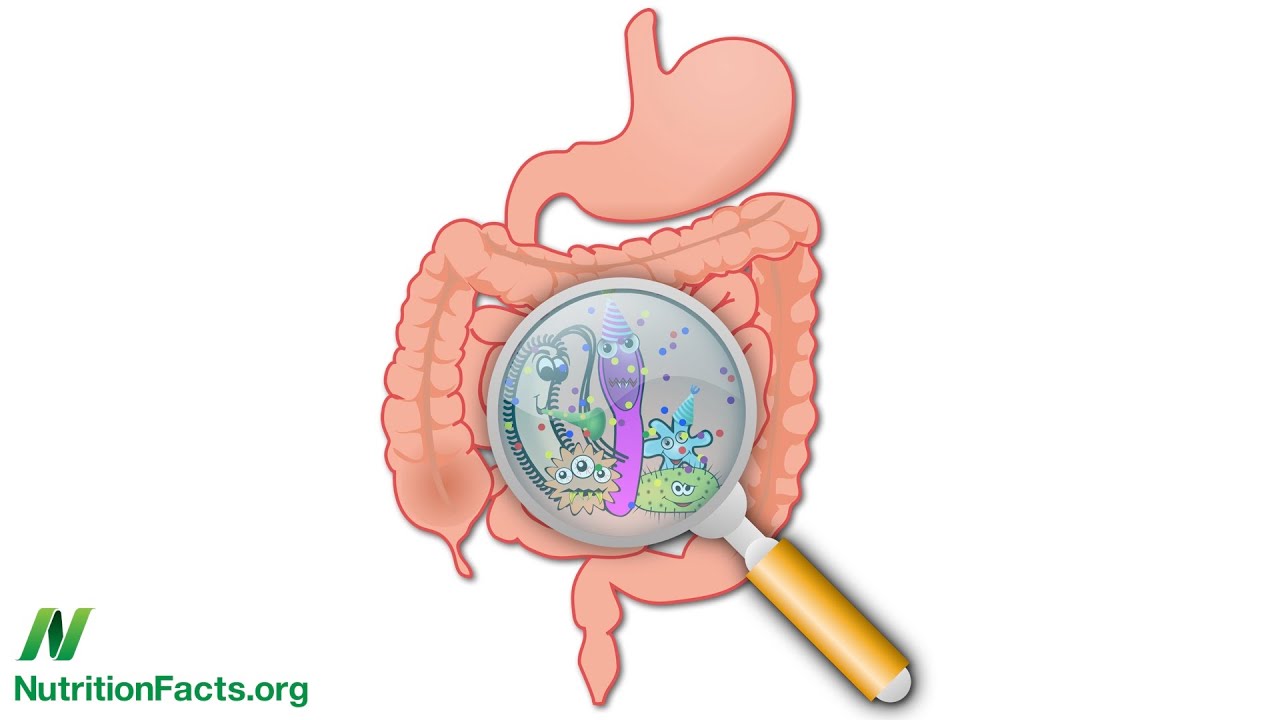 Bowel Wars: Hydrogen Sulfide vs. Butyrate