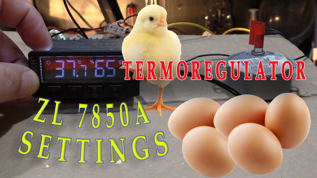 Settings ZL7850A | Podešavanje termoregulatora za inkubator za piliće | Osnovna podešavanja
