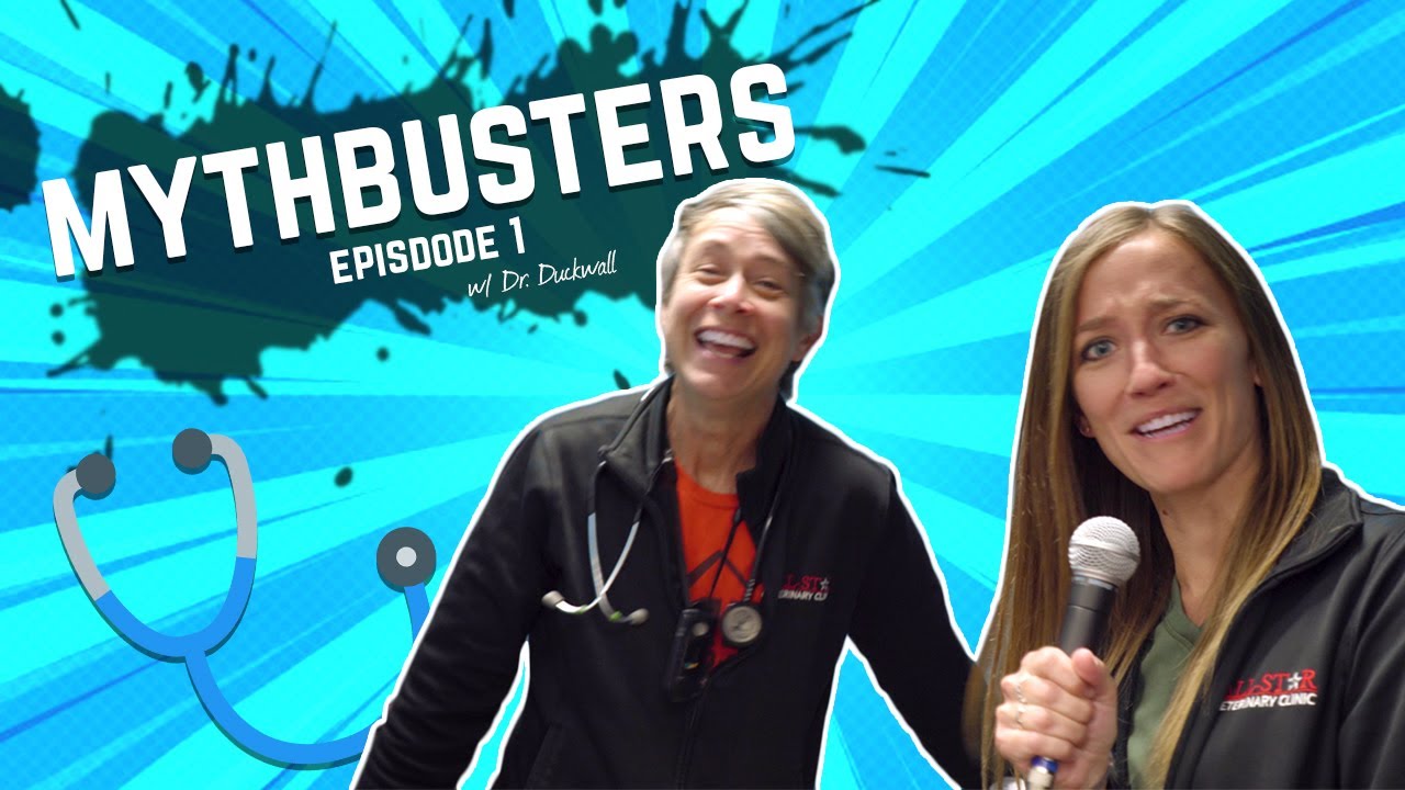 VETERINARIANS AREN'T REAL DOCTORS? | Episode 1 | Mythbusters