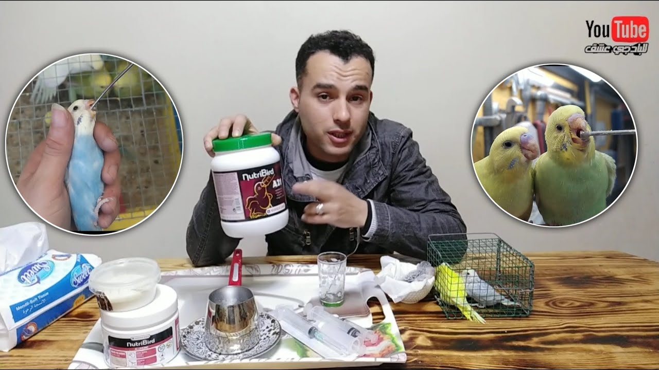 أسسيات التأكيل اليدوي للمبتدئين🦜تقديم نصائح ومعلومات لأصحاب الدرساج #للبادجي_عشق