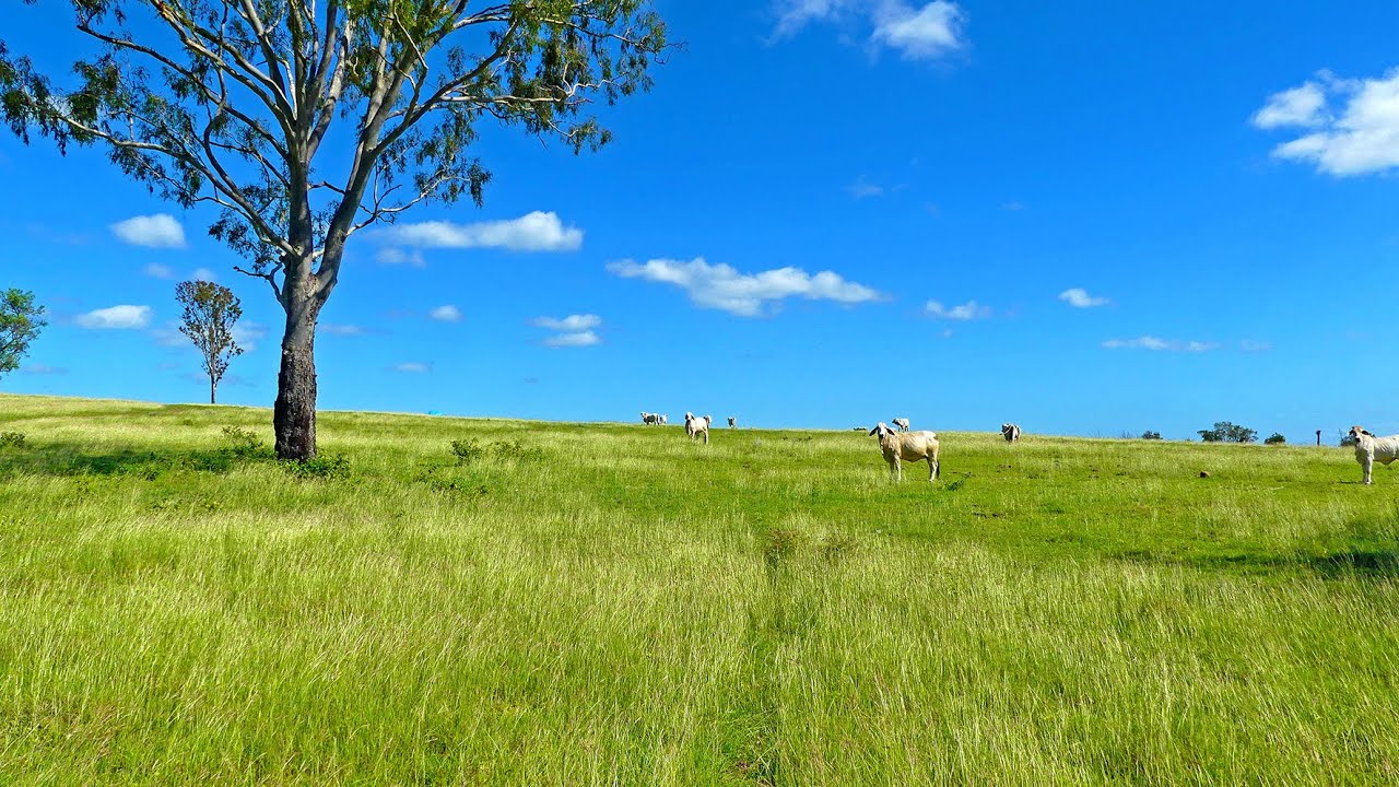 ‘Jacques’ Cunningham Road, Nine Mile, Central Queensland 4702
