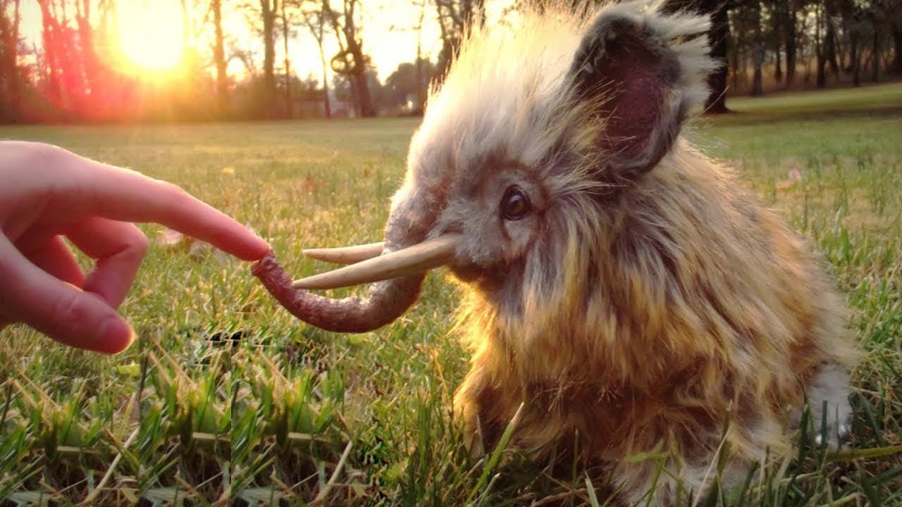 الحيوانات التي عادت من الانقراض