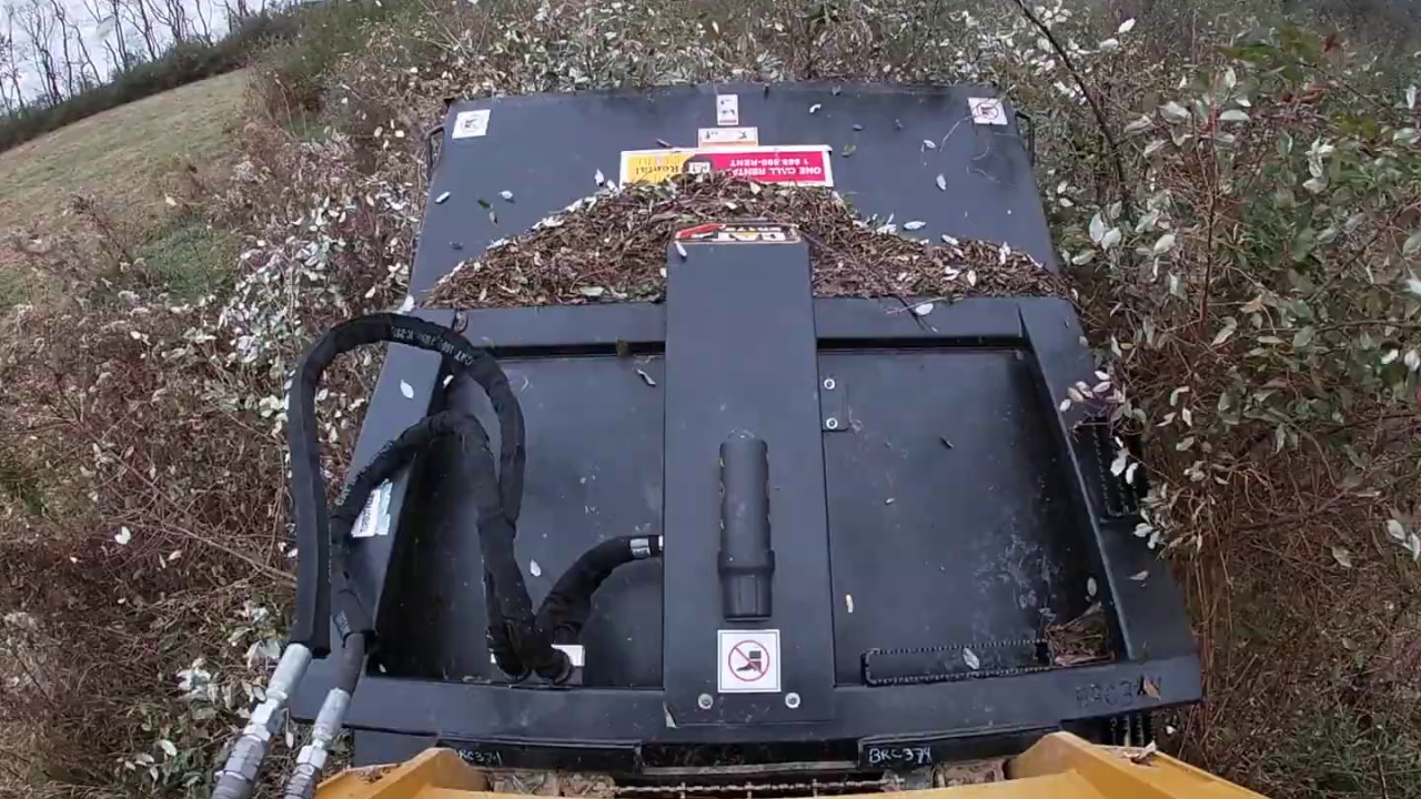 Cat 259D Brush Cutting an Overgrown Field