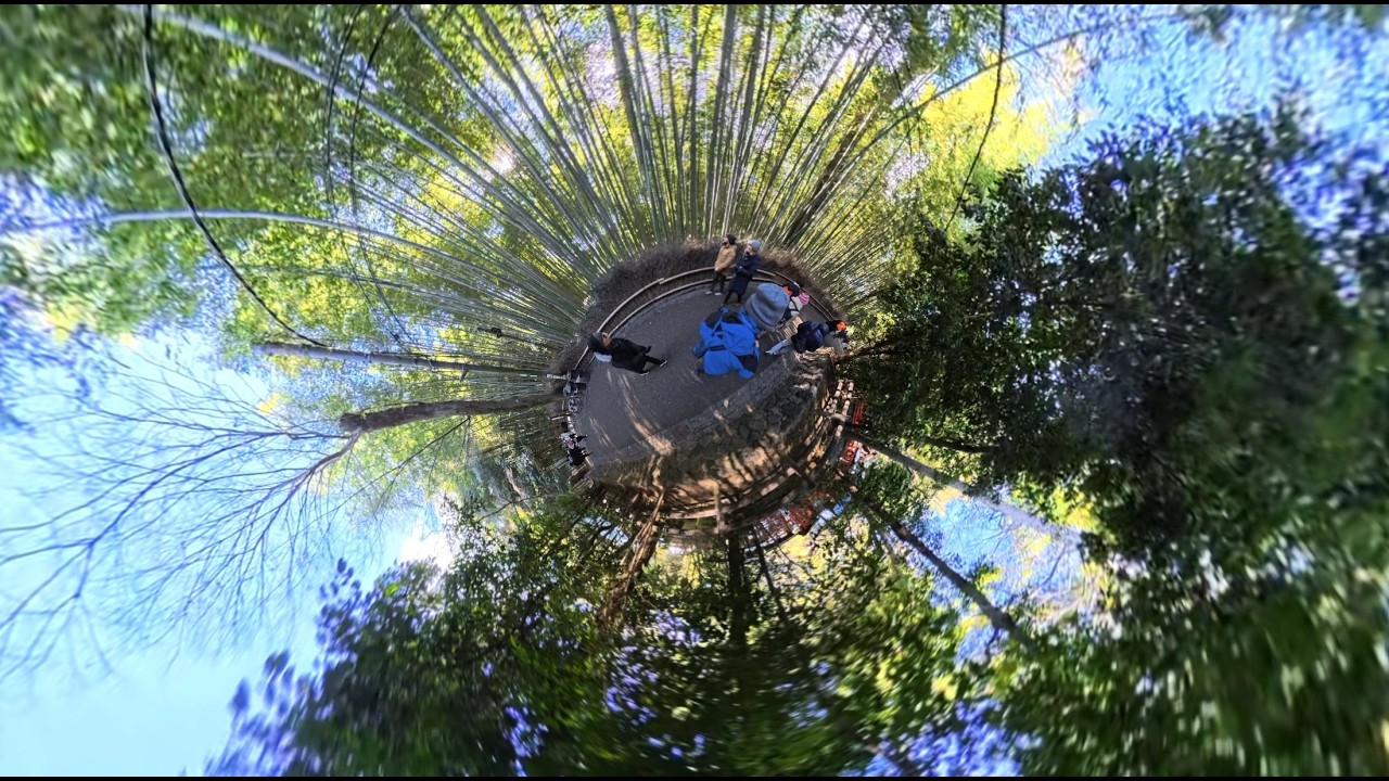 Arashiyama Bamboo Forest, Kyoto, Japan