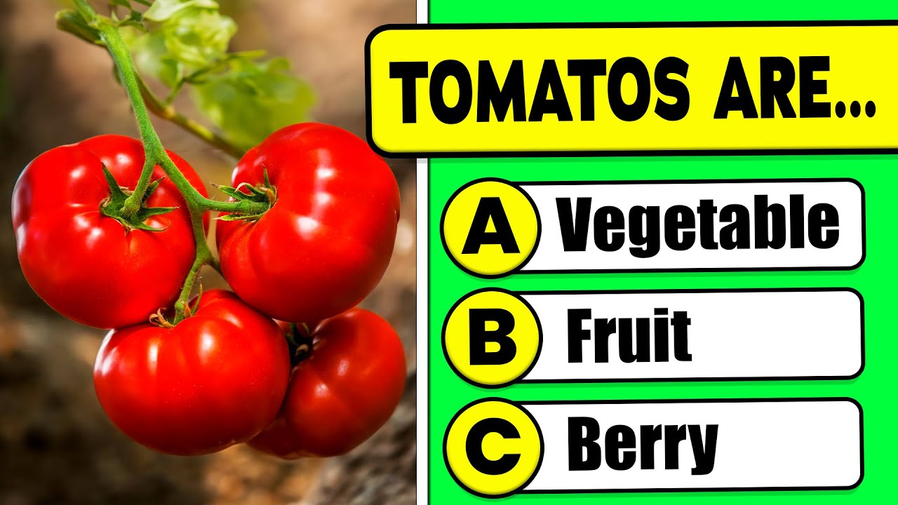 Food & Drinks Quiz: Challenge Your General Knowledge 🧠📚