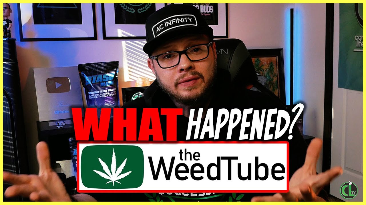 The Rise and Fall of The WeedTube
