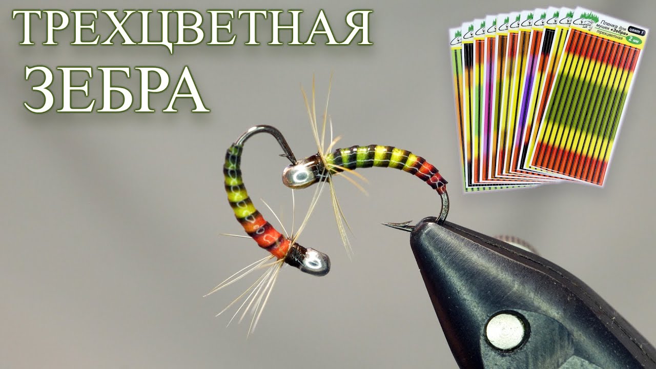 Зебра Трехцветная. Уникальные мушки с плавным переходом цвета за минуту! @Павел Горохов - Сибирский Лов