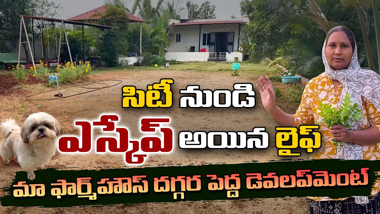 A Cool day at Farmhouse |Telugu Farmhouse Vlog | Life at Farmhouse | Future city | Global summit |