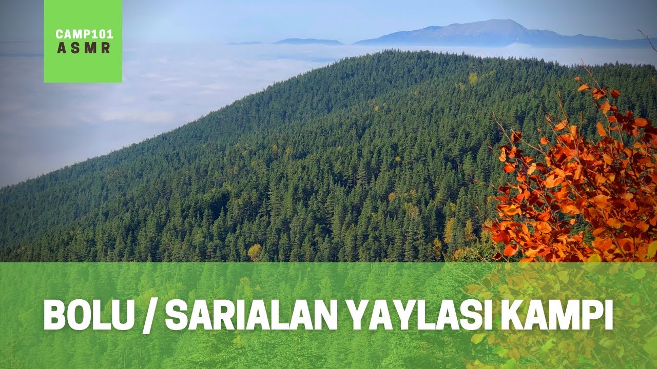 Bolu Sarıalan Yaylası Kampı