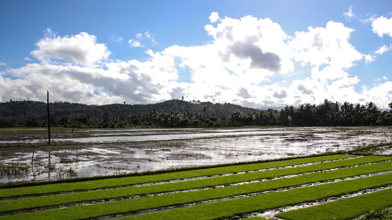 LRA: What to verify before buying a land property?