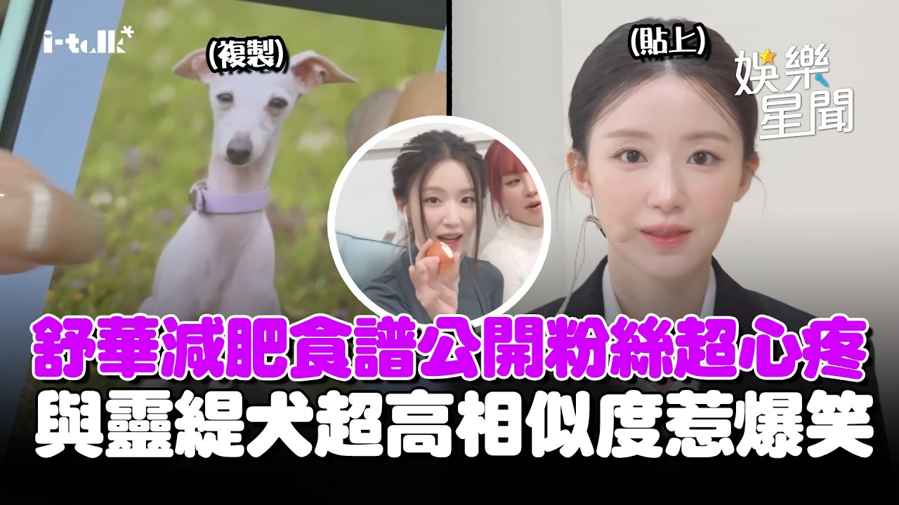 舒華減肥食譜公開！「吃超少」令粉絲心疼QQ 被成員稱像「靈緹犬」超高相似度惹爆笑...玩AI排名意外傷透小娟的心XD｜三立娛樂星聞