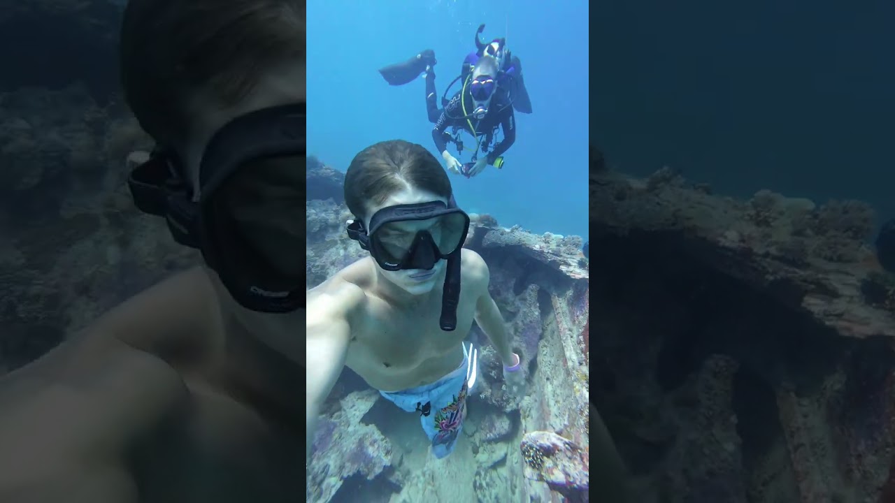 bro was like bruh then started posing for the camera #freediving #gilimeno #bountywreck #travel