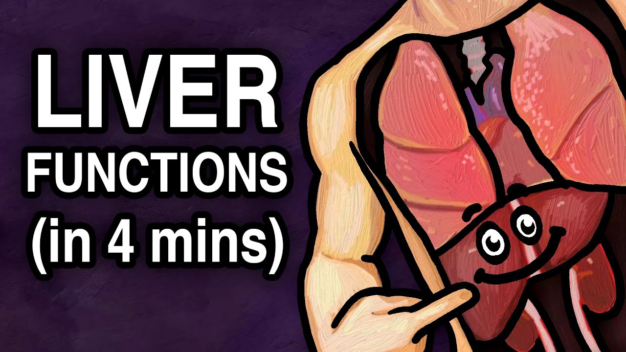 THE LIVER - FUNCTIONS