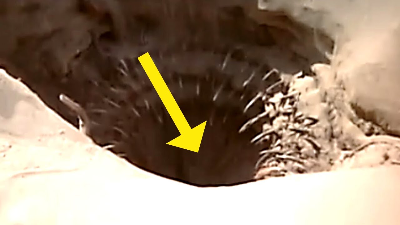 8 MINUTES AGO: Something BIZARRE Has Just Been Discovered At The Grand Canyon