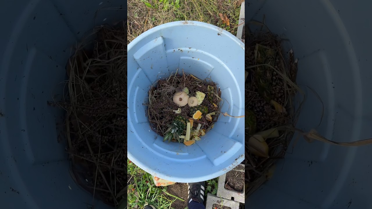 Turning an old trash can into a #compost bin #gardening