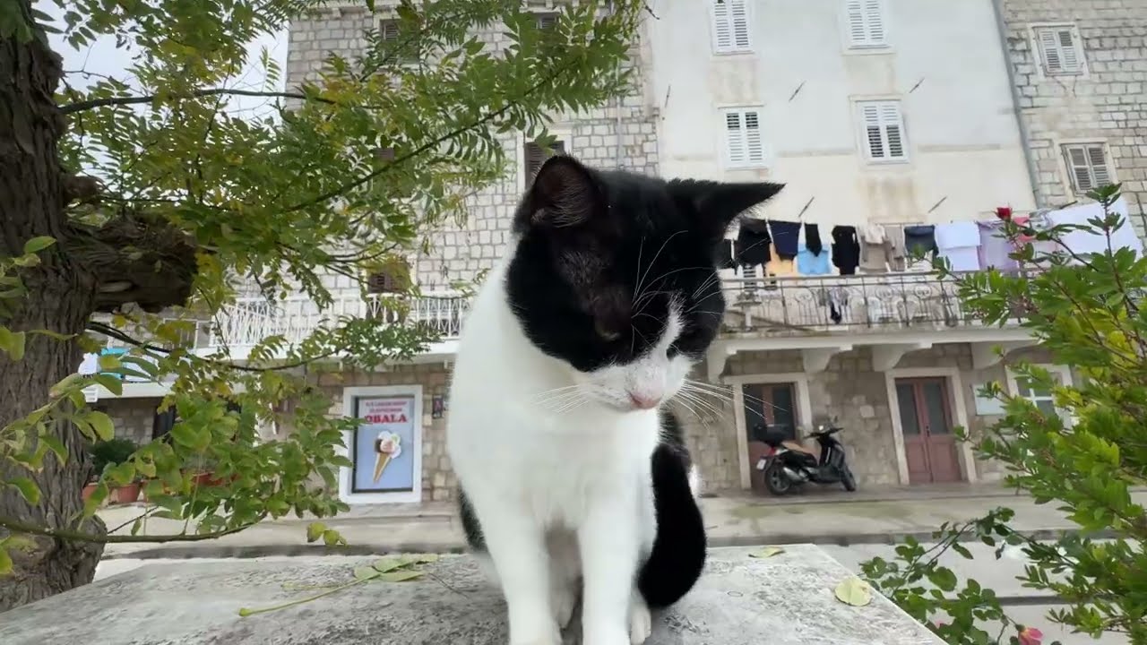 Jak w listopadzie wygląda miejscowość Trpanj Chorwacja