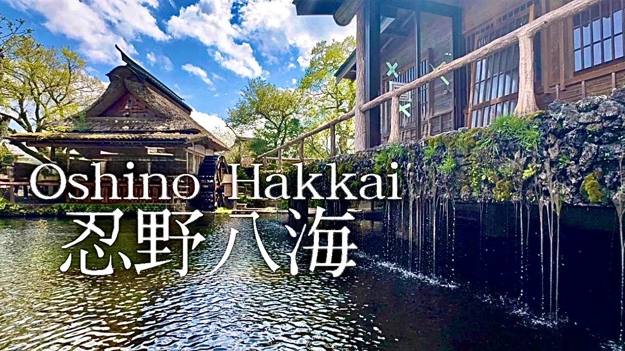 山梨観光。忍野八海｜富士山の湧水池を巡って忍野村を散策。名物にもほっこり