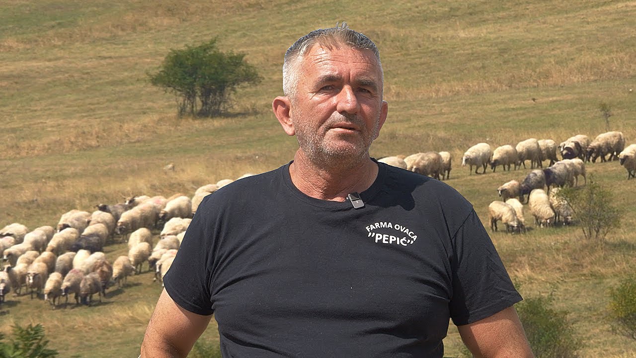 Marijan od ovčarstva živi kao kralj, čak i gnojivo proda