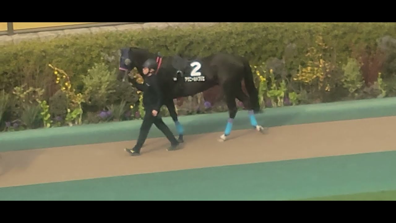 2026/02/14 箱根特別 アヴニールドブリエ
