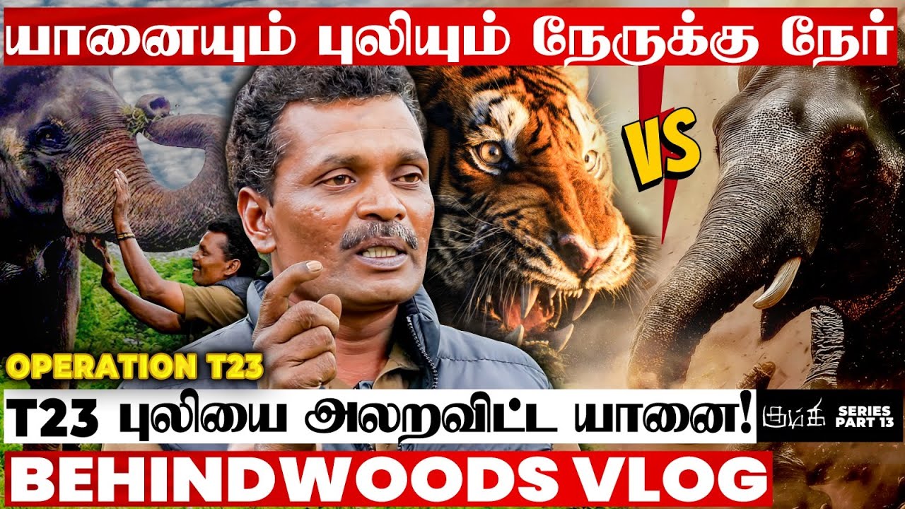 பாகனிடம் குழந்தை..🐘 புலிய பார்த்தா பேயா மாறிடுவான்!😨 உதயன் யானையின் திகில் சம்பவம்!