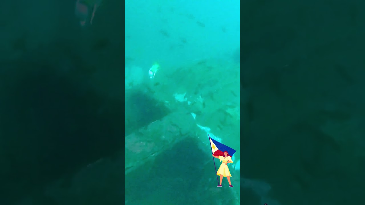 Dive Subic 