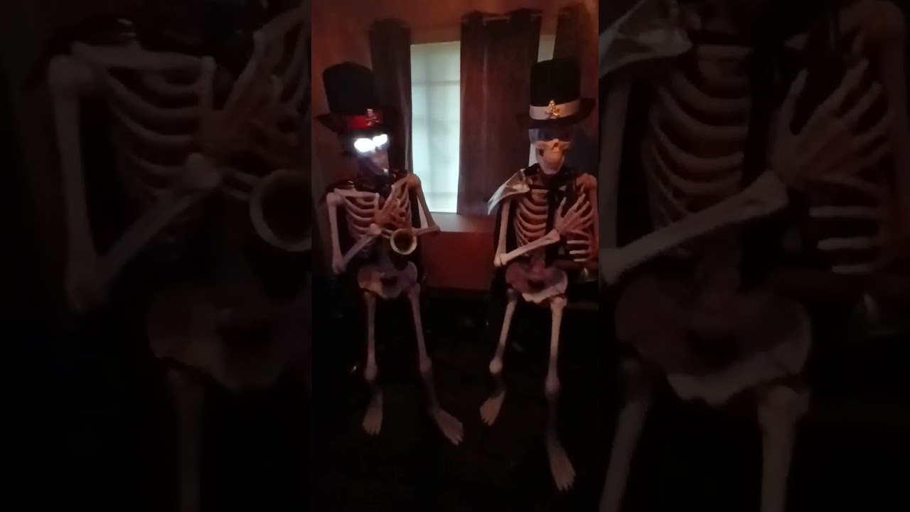 musical skeleton duet