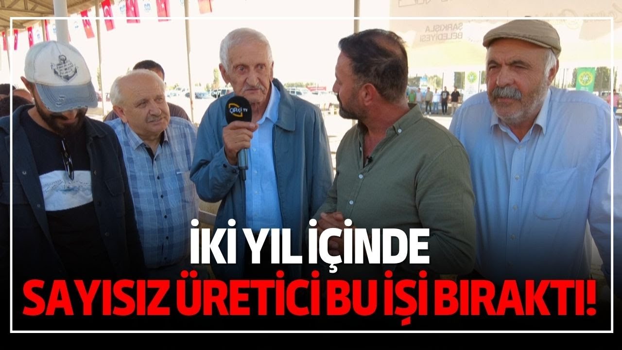 Kangal Koyunu Pazarlığı / 