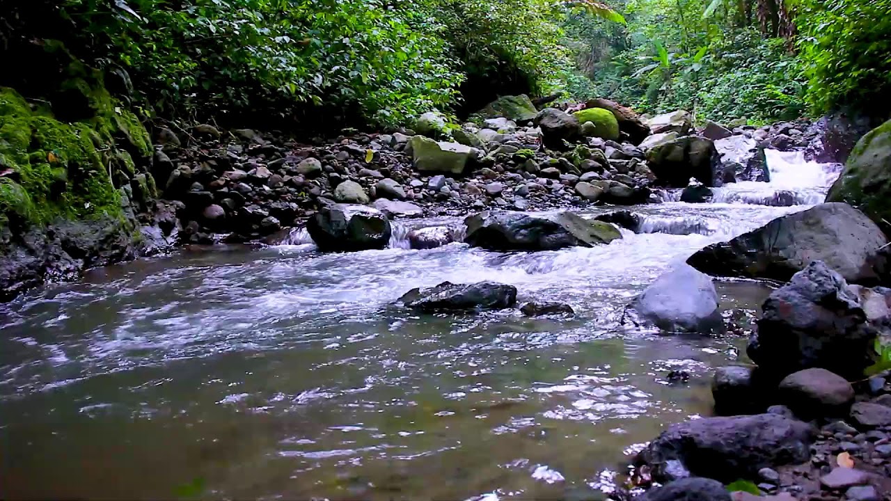 River Sounds to Quiet the Mind | Deep Sleep Water for Stress Relief