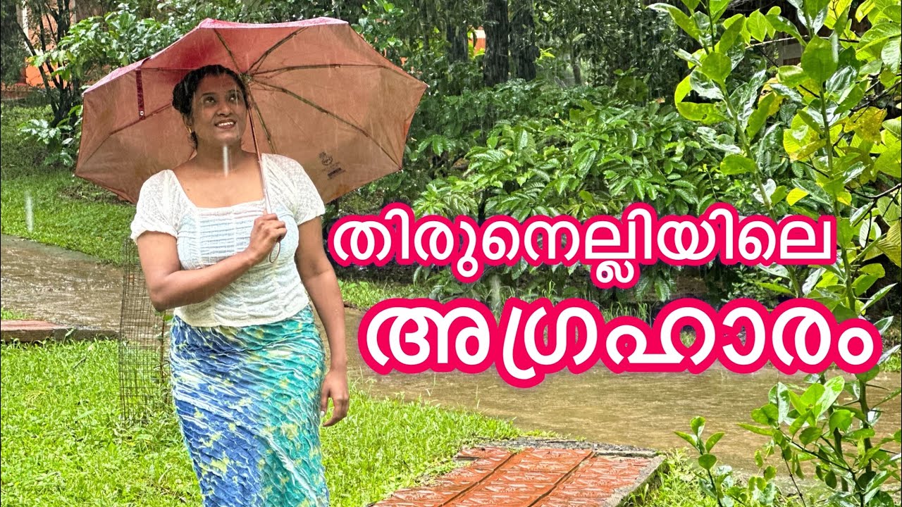 Thirunelli Resort Agraharam ബ്രഹ്മഗിരി മലനിരകളുടെ താഴ്വരയിൽ കാടിനോട് ചേർന്ന് ഒരു അടിപൊളി റിസോർട്ട്