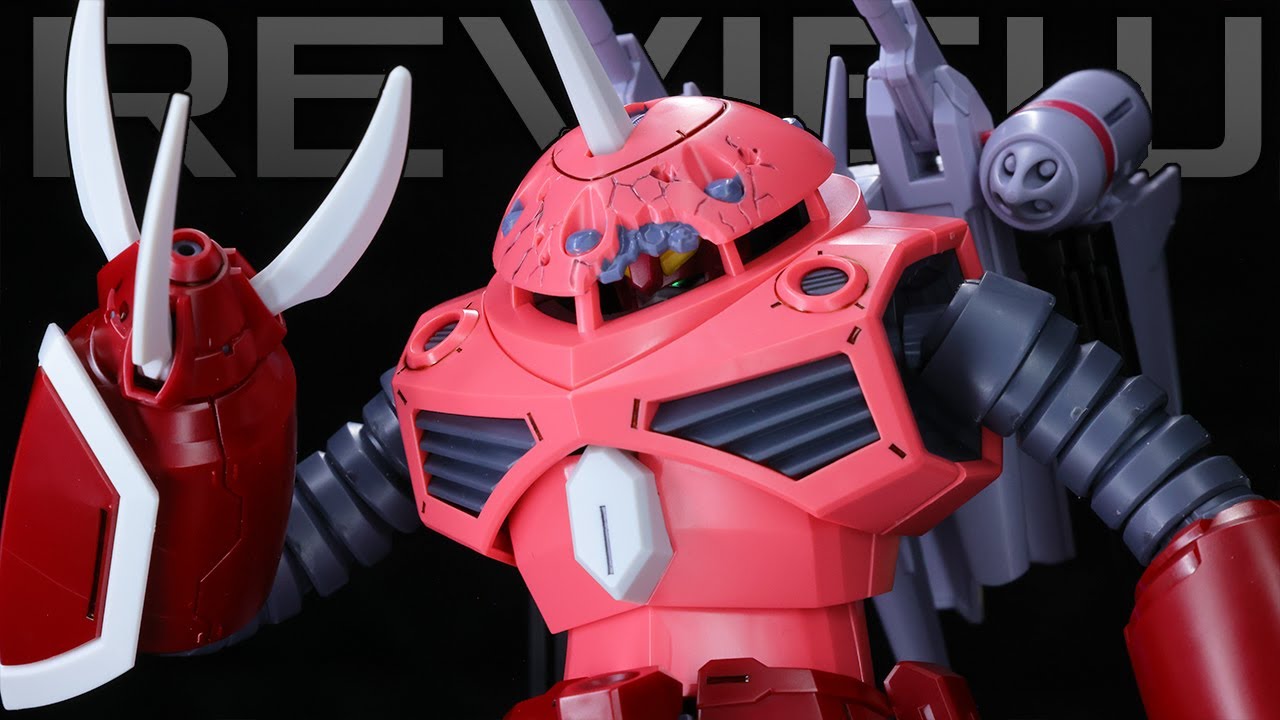 It's What's on the Inside That Counts! | HG Z'GOK SEED FREEDOM VER. REVIEW