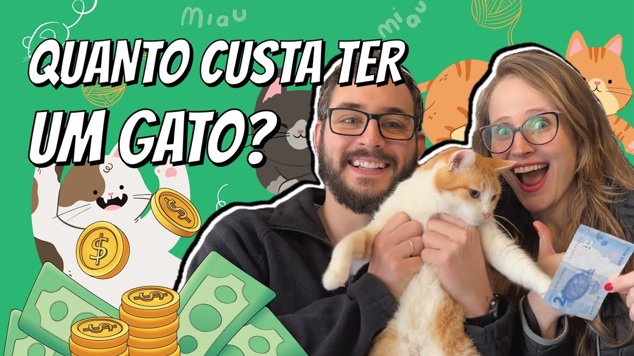 Quanto custa ter um gato? 😱💸 #Gatos #CustoDeGatos #VidaDePet