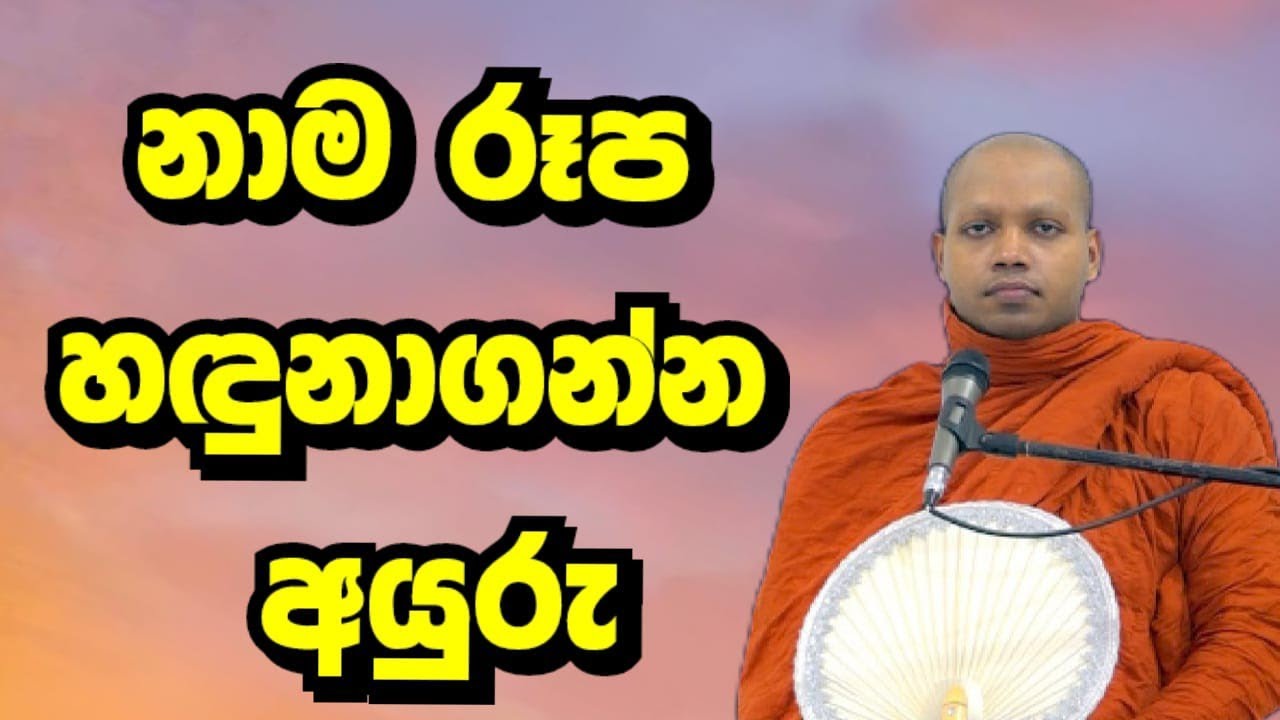 නාම රූප ධර්ම නිවැරදිව හඳුනා ගන්නා අයුරු  පූජ්‍ය හසලක ශීලවිමල ස්වාමීන් වහන්සේ