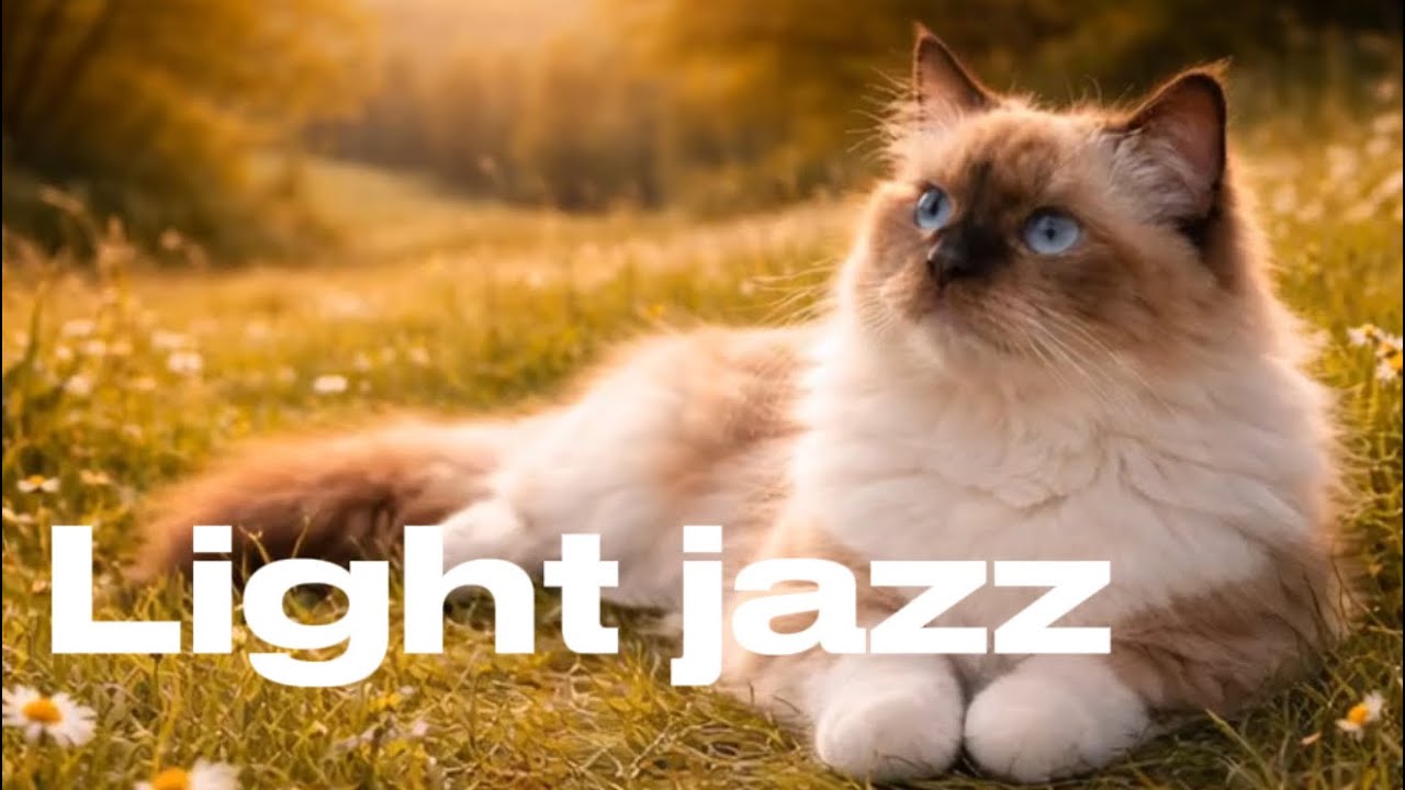 Light Jazz Music for Relax & Cozy Moments ☕🐱 | Soft Background Jazz