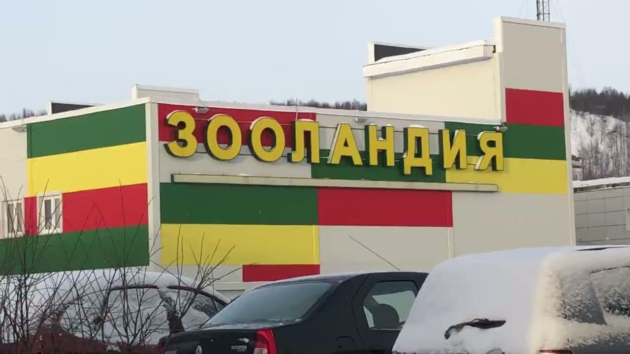 Этюды с Мурманских улиц / ФИНАЛ / От мордобойки до бани в 4К