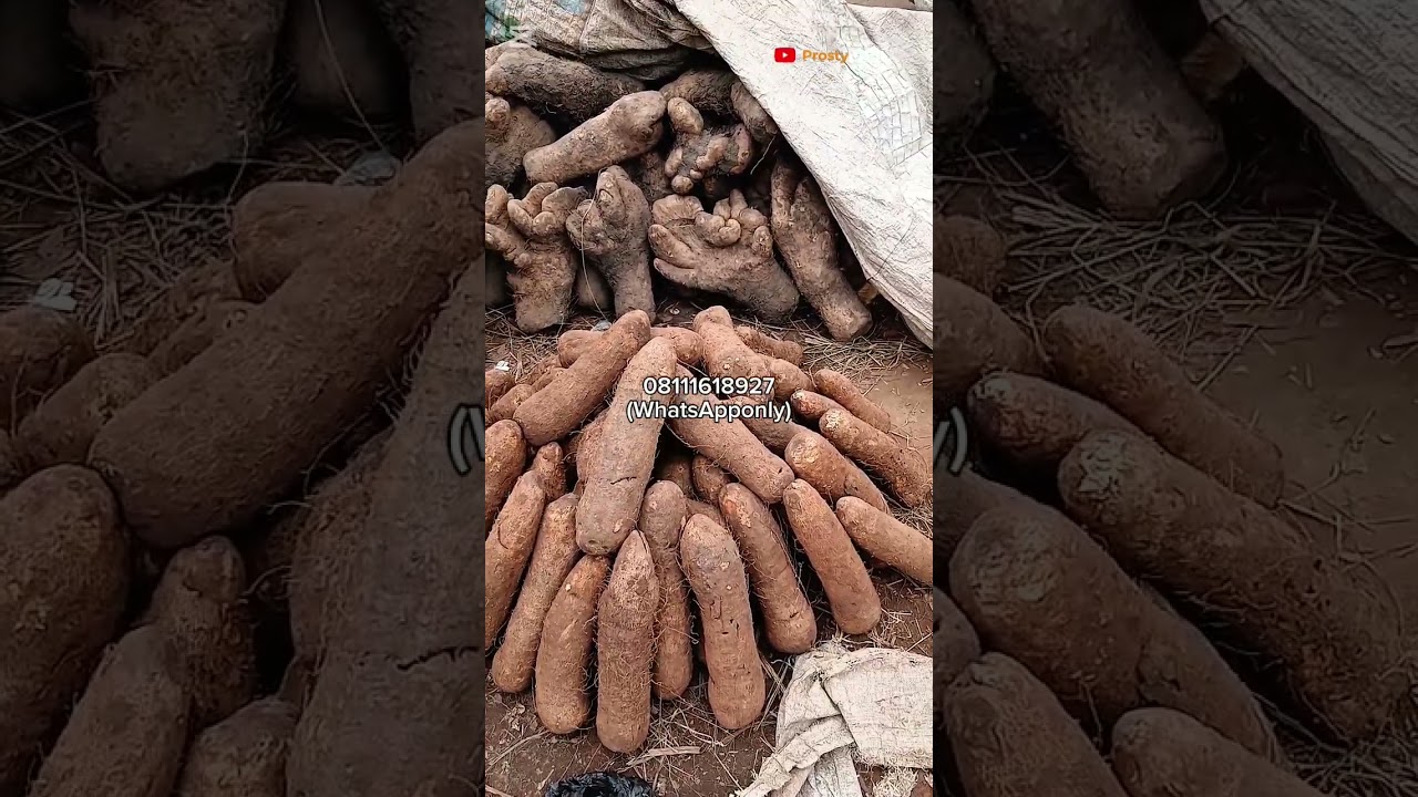Cheapest Yam Market in Abuja