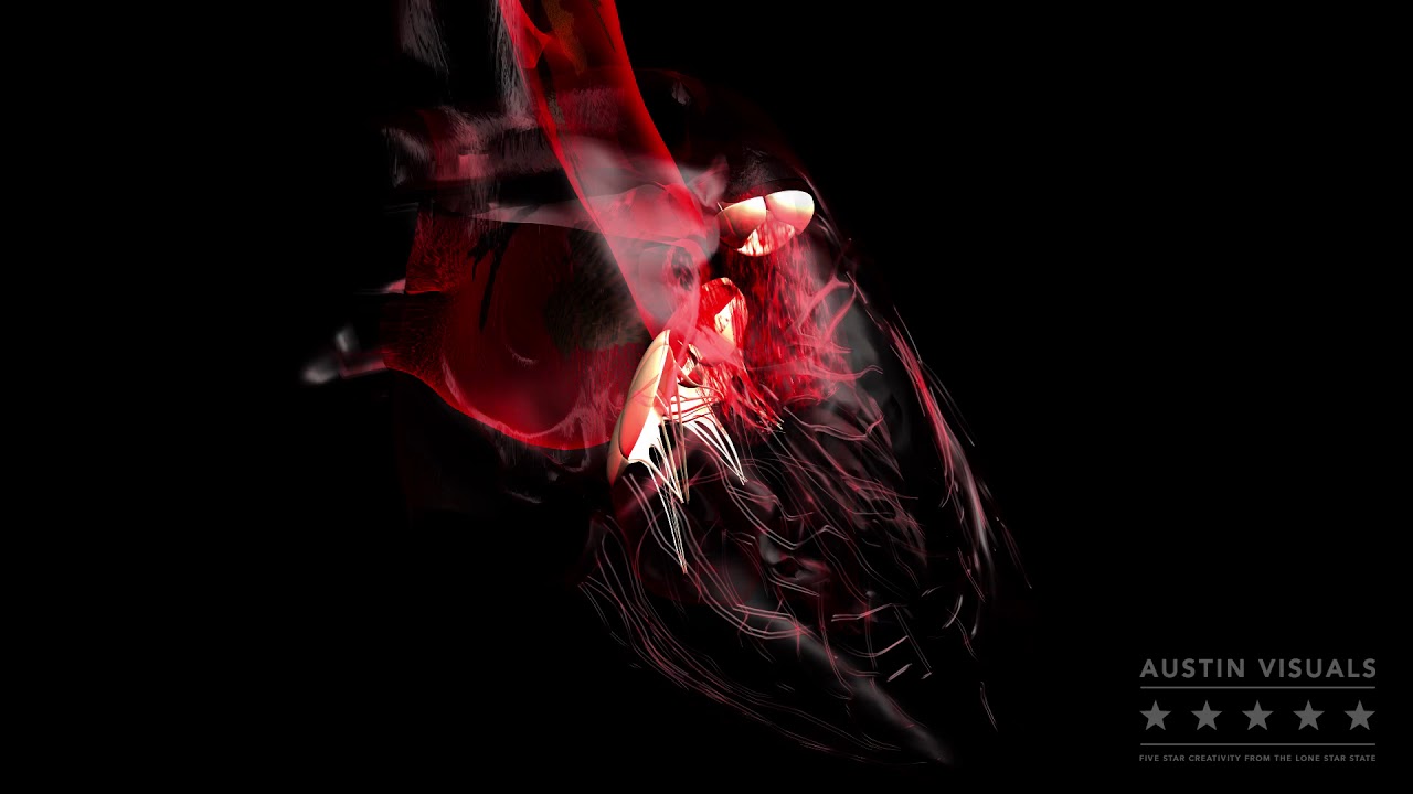 Heart Blood Valve Anatomy 3D Animation. Austin Visuals
