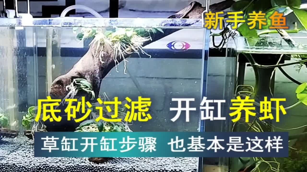 虾缸 草缸开缸过程，用底砂过滤开个虾缸，实不实用我来踩坑
