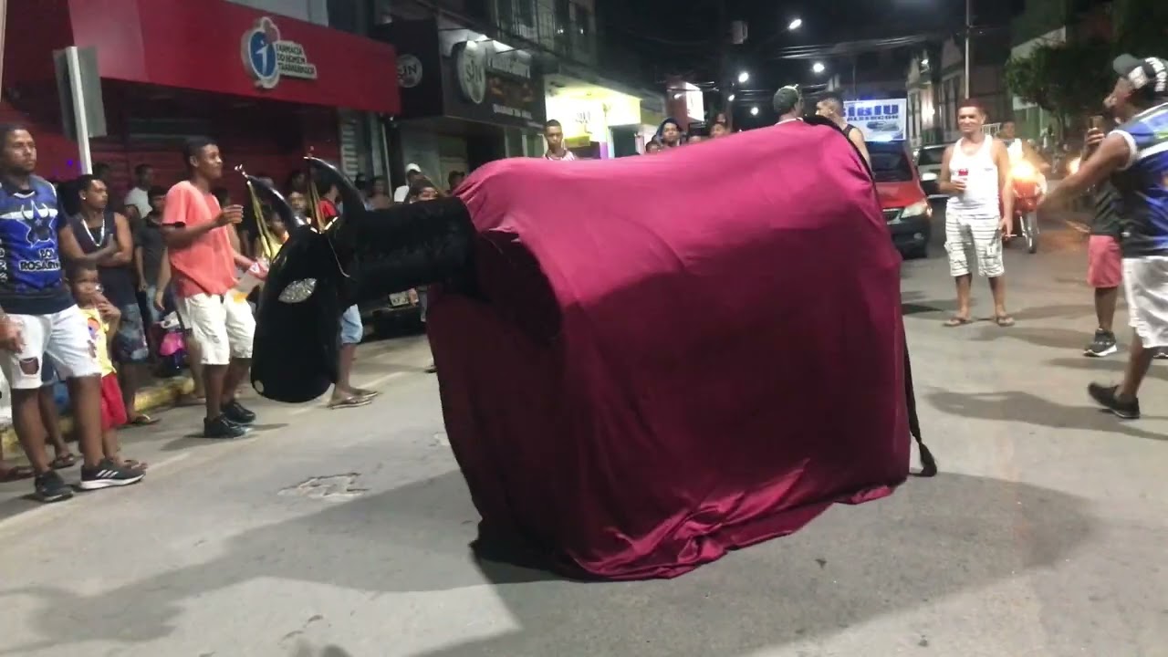 BOI ROSARINHO, ALIANÇA-PE ENSAIO CARNAVAL 2025