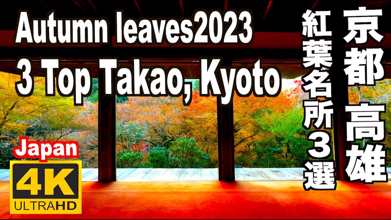 京都 高雄の紅葉名所３選 3 Top autumn leaves in Takao, Kyoto 京都観光 旅行 紅葉の名所 神護寺 高山寺 西明寺 Jingoji Temple Kozanji