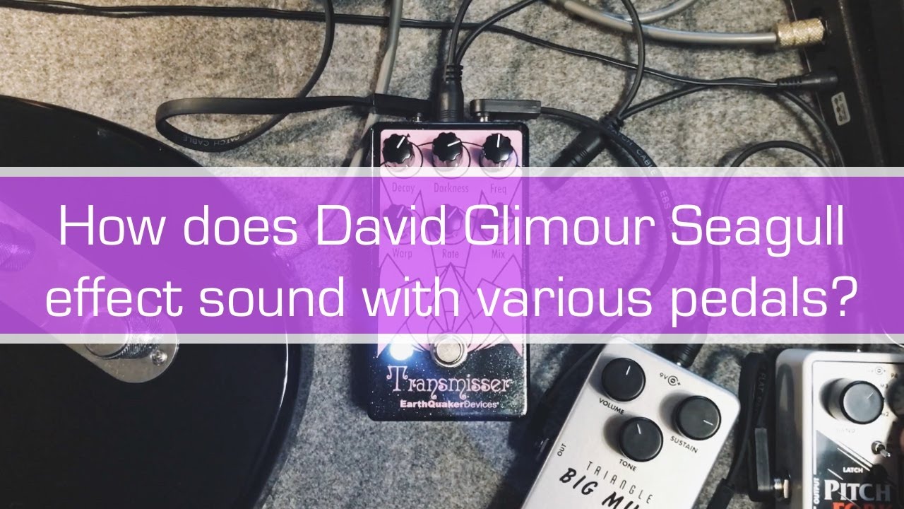 Crazy sounds: Seagull effect with various pedals