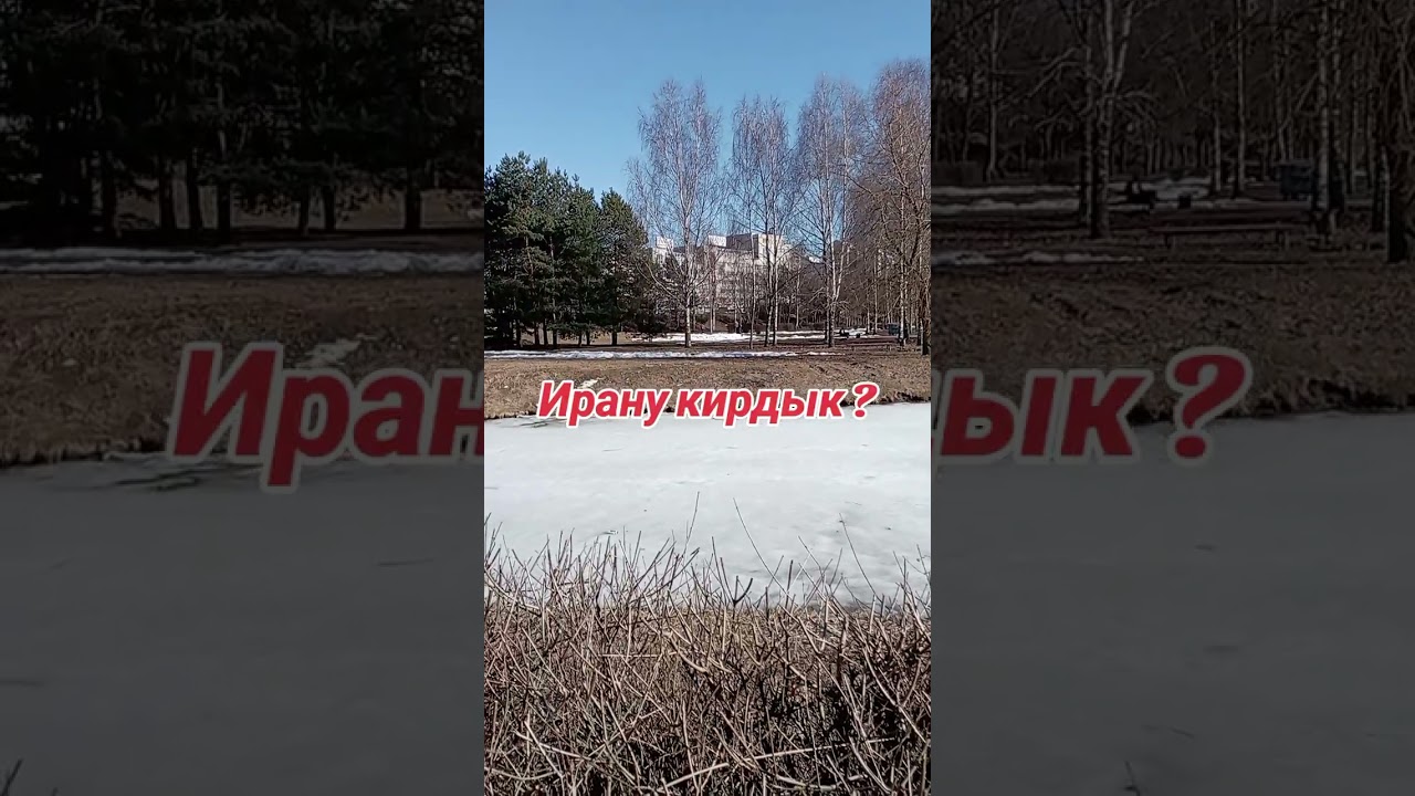 14 марта 2026 г.