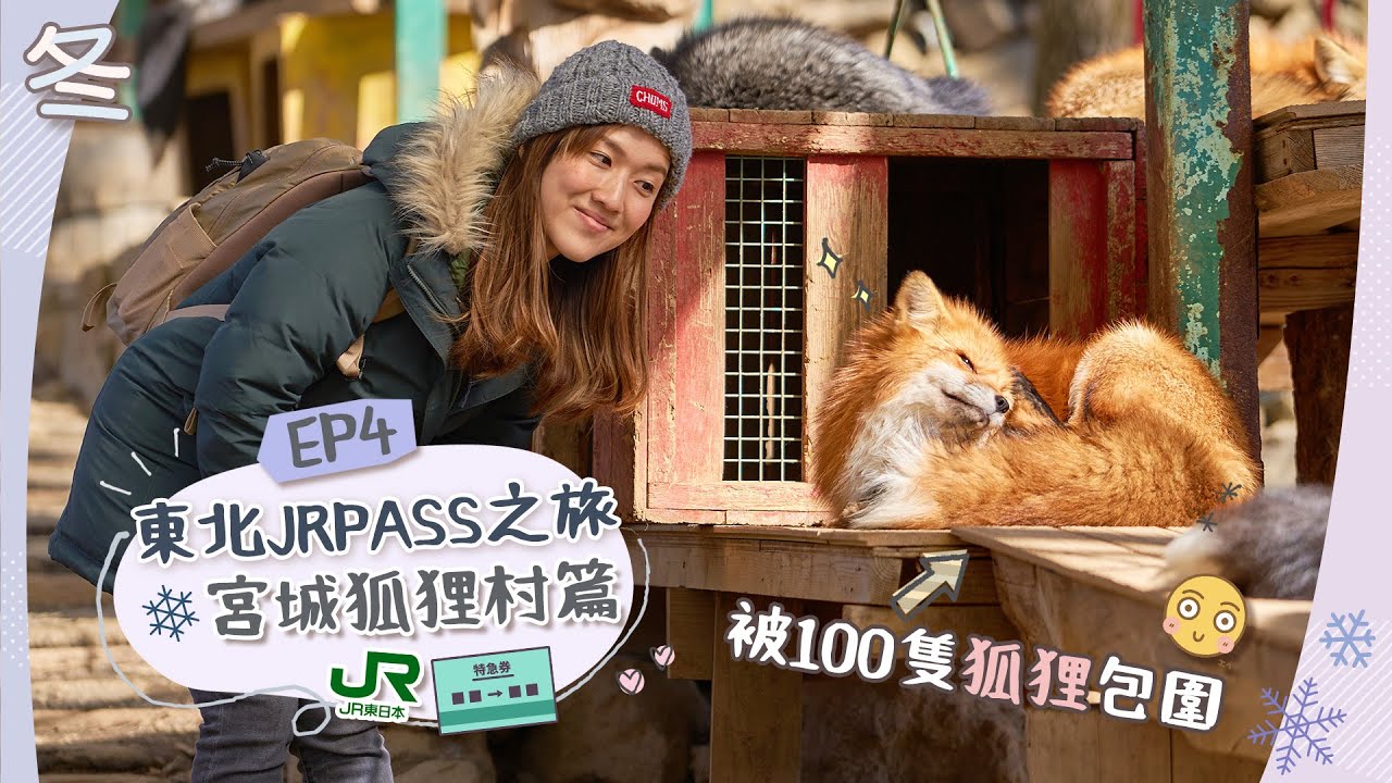 【☃️東北JrPass之旅】DAY4 抱抱狐狸超開心🦊「宮城藏王狐狸村」世上唯一專門飼養狐狸的動物園！太可愛了吧😍＋到步福島吃喜多方拉麵