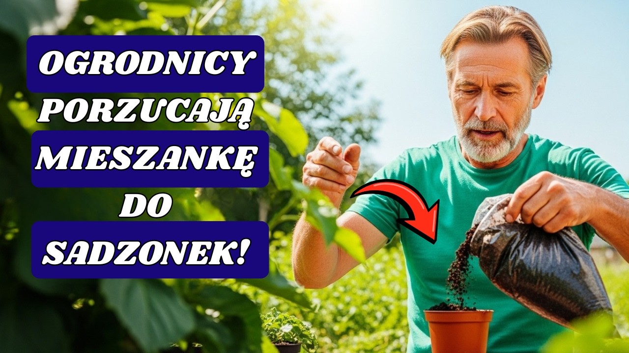 Dlaczego doświadczeni ogrodnicy rezygnują na zawsze z mieszanki do sadzonek