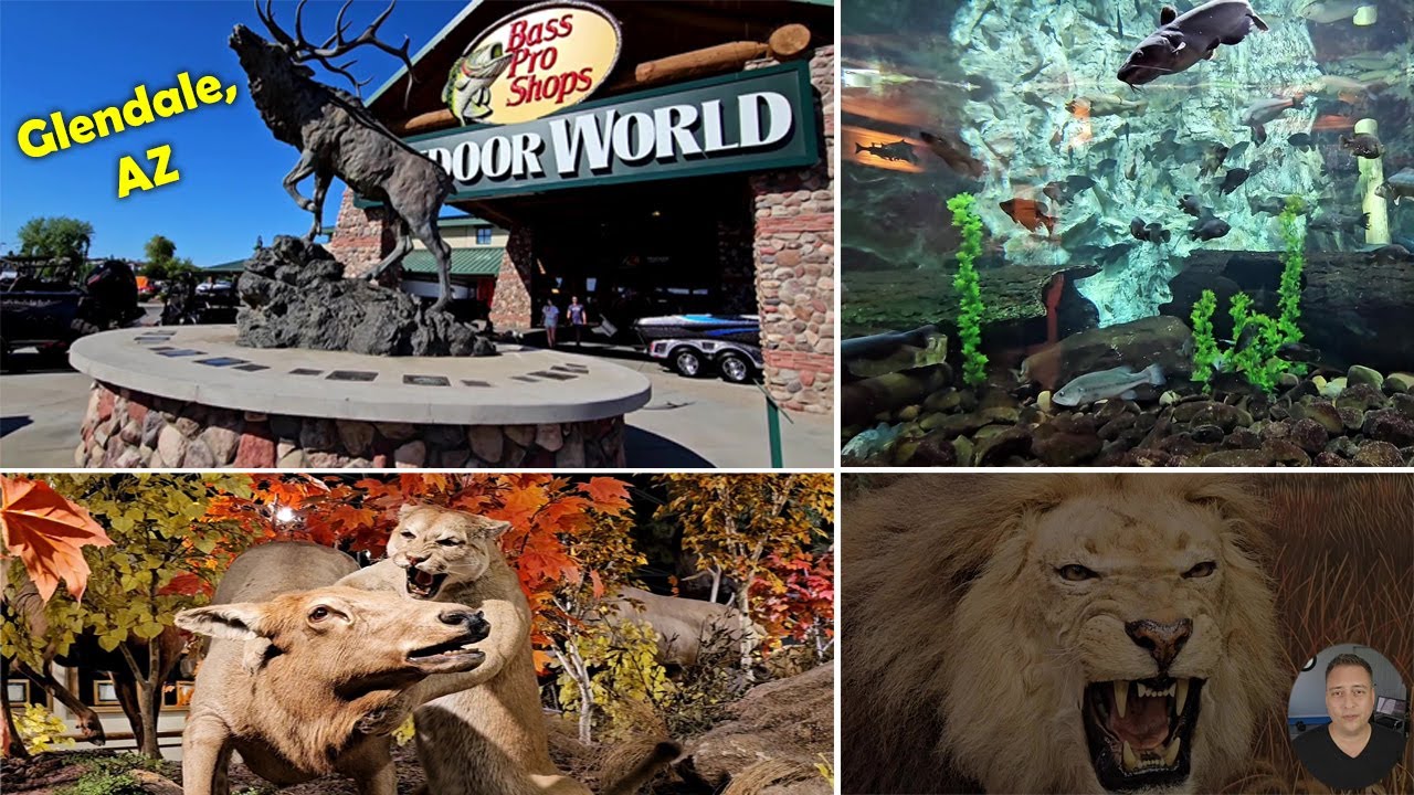 160,000 Sq Ft 🎣  Bass Pro Shop / Cabela's in Glendale AZ Sporting Goods & Outdoor Store